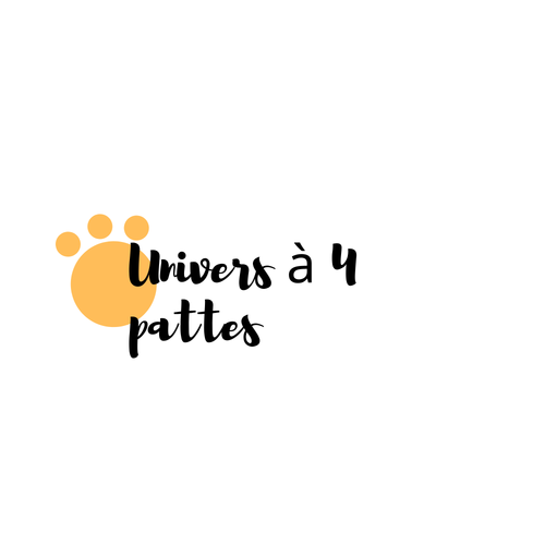 Univers à 4 pattes