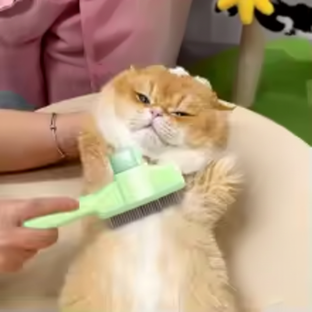 Brosse de toilettage - Safe from bugs
